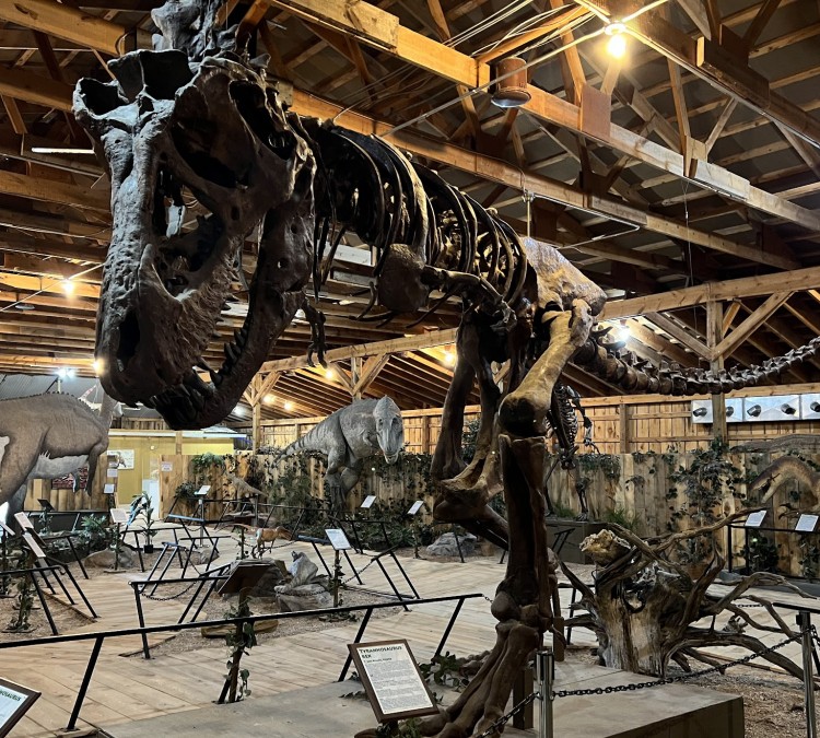 dinosaur-museum-photo